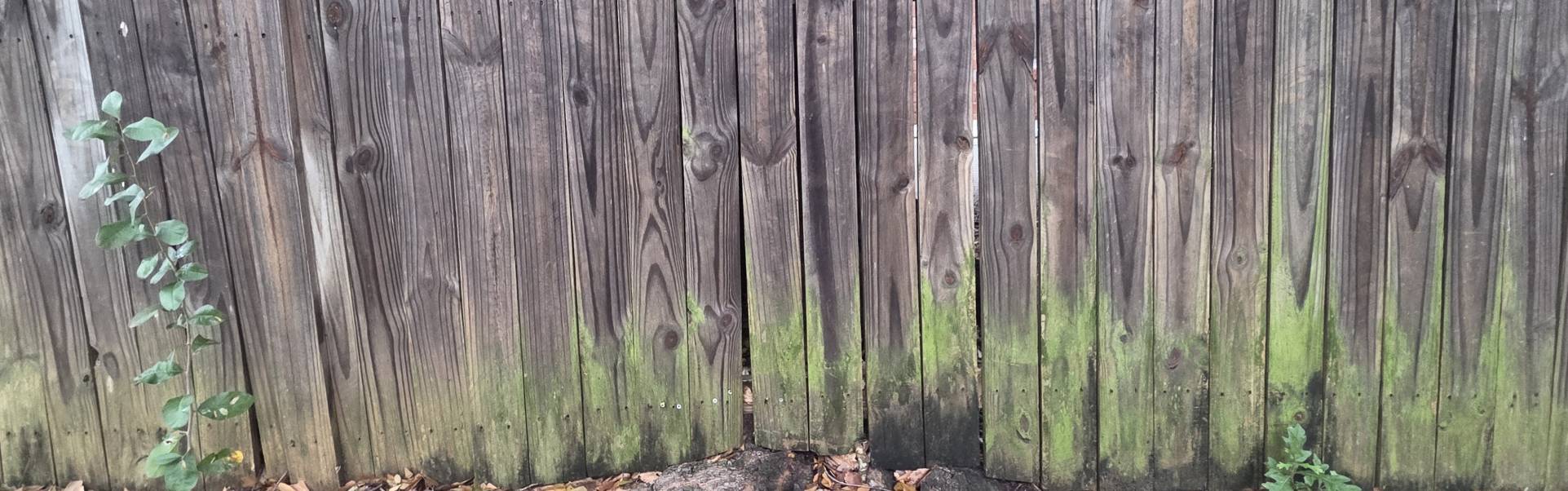 Gutter Overflowing Gutter Overflow