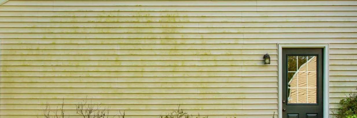 Oil Stains Oil Stains on driveway