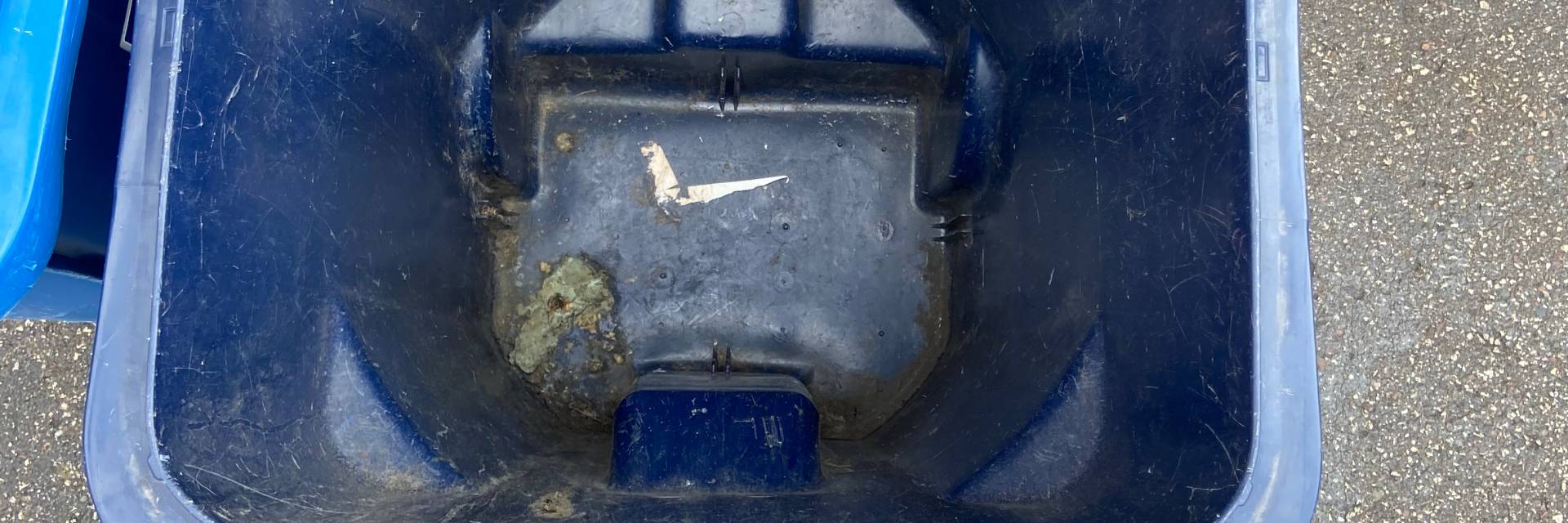 Strong Odors in Trash